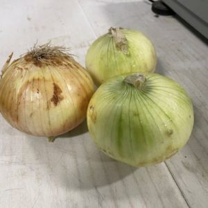 Walla Walla Sweet Onion