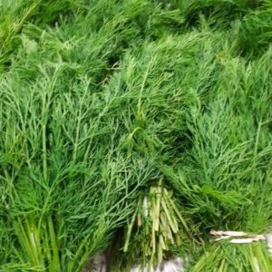 Fresh Organic Dill (80g Bundle)