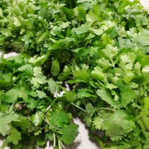 Organic Cilantro - 80g Bundle
