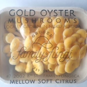 Gold Oyster (10x227g Cartons)