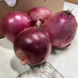 Medium Red Onions