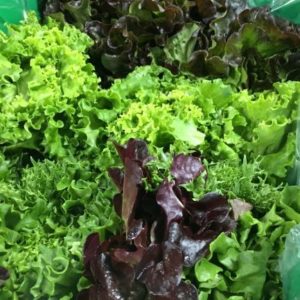 9 Heads Fresh Mixed Lettuce