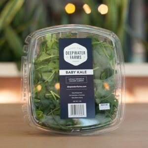 Baby Kale - 4 oz Clamshell