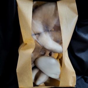 Blue Oyster - 150g