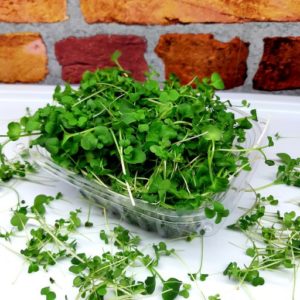 Retail Broccoli Brassica Blend