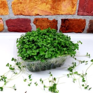 Retail Broccoli Microgreens-40g