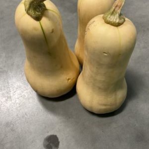 Organic Butternut Squash