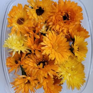 Calendula Flowers (25 Count)
