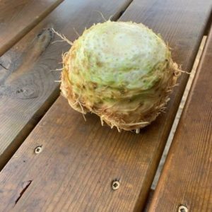 Organic Celeriac - Stores