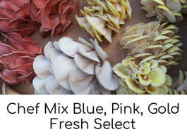 Chef Oyster Mix (5lb Case)