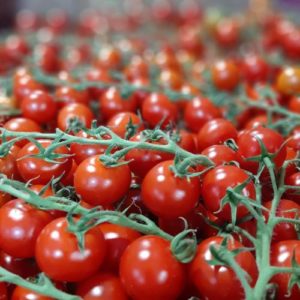 Cherry Tomato on the Vine - AB