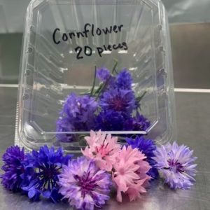 Cornflower (20 Edible Flowers)