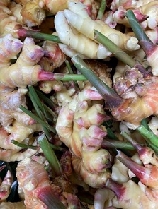 Organic Fresh Ginger