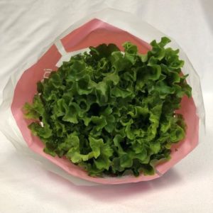 Green Batavia Lettuce 6ct