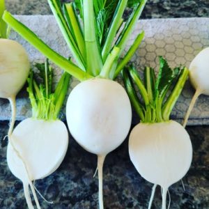 Hakurei Turnips (10lb Case)