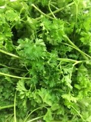 Curley Parsley (250 g Bag)