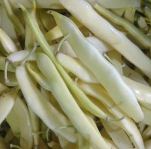 Flat Yellow Beans