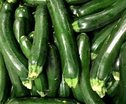 Green Zucchini (15lb Case)