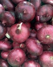 Red Kuri Squash, per piece