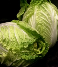 KG - Suey Choy