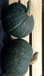 Organic Buttercup Squash