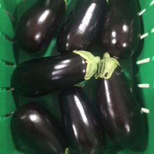Egg Plant