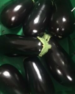 KG - Egg Plant