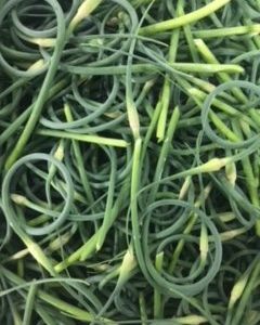 KG - Garlic Scapes