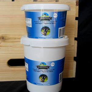 Plain Goat Yoghurt - 500ml