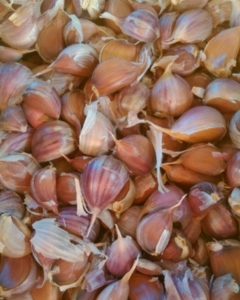 Organic Garlic Cloves (5lb Bag)