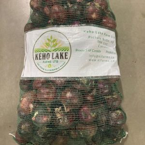 Red Onions - 50lb Case