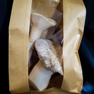 King Oyster - 150g