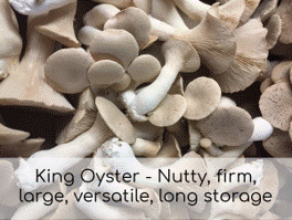 King Oyster (5lb Case)