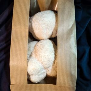 Lions Mane - 150g