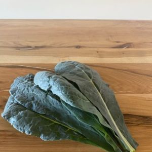 Dinosuar Kale (113g)