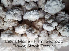 Lions Mane (5lb Case)