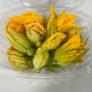 Squash - Male (10 Count)