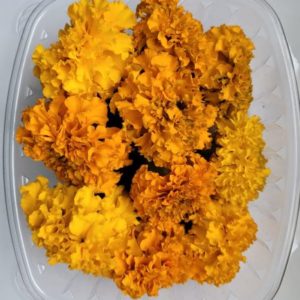 Marigold Flowers (12 Count)