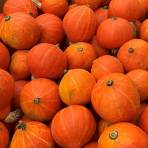 Mini Red Hubbard Squash