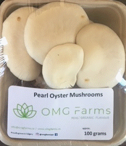 Pearl Oyster Mushrooms - 100g