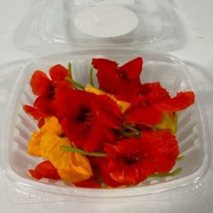 Nasturtium Flowers (25 Count)