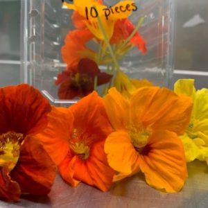 Nasturtiums (10 Edible Flowers)