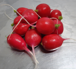 Organic Crispy Red Radish