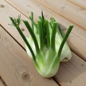 Organic Fennel