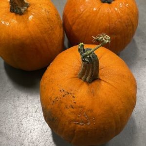 Organic Pie Pumpkins