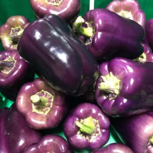 Premium Purple Bell Peppers-AB