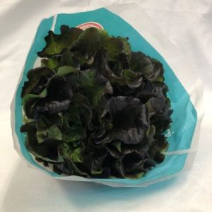 Red Batavia Lettuce 6ct