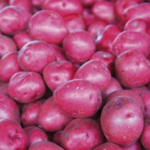Organic Red Potatoes - Small
