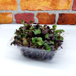 Retail Red Radish - 40g