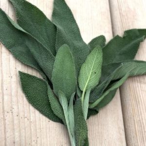 Fresh Sage Herb-56g Bundle